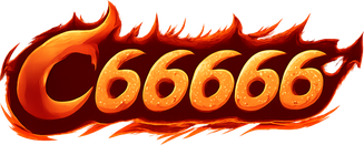 c66666